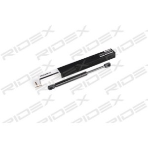 Tailgate Strut - RIDEX 219G0218