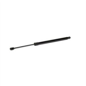 Tailgate Strut - RIDEX 219G0153