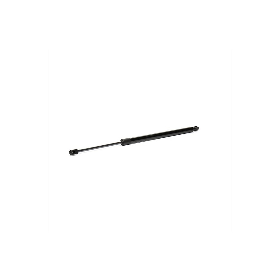 Tailgate Strut - RIDEX 219G0153