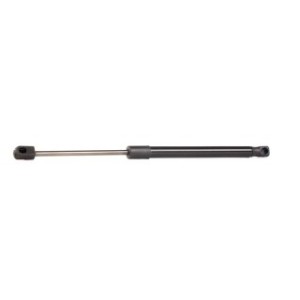 Tailgate Strut - RIDEX 219G0383
