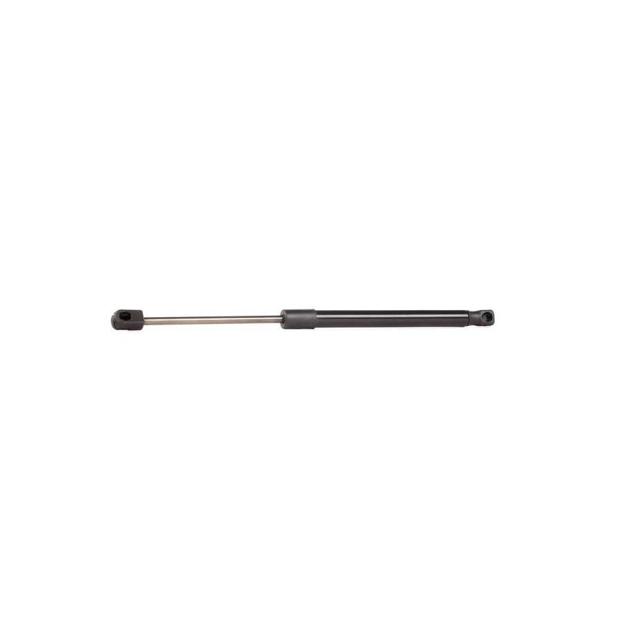 Tailgate Strut - RIDEX 219G0383