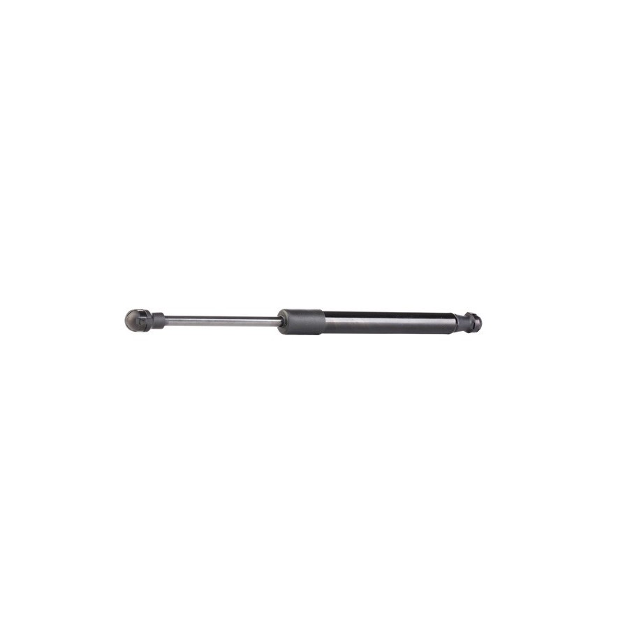 Tailgate Strut - RIDEX 219G0255