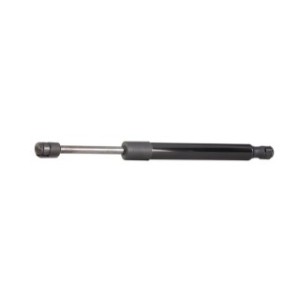 Tailgate Strut - RIDEX 219G0251