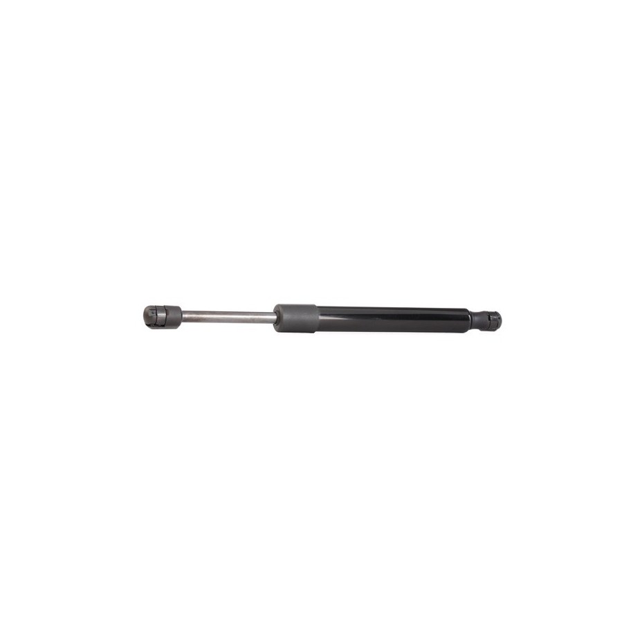 Tailgate Strut - RIDEX 219G0251