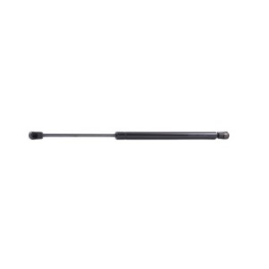 Tailgate Strut - RIDEX 219G0291