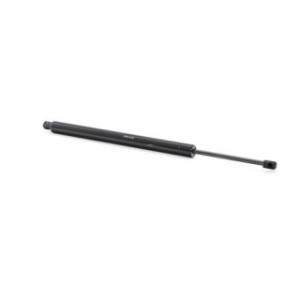 Tailgate Strut - RIDEX 219G0262
