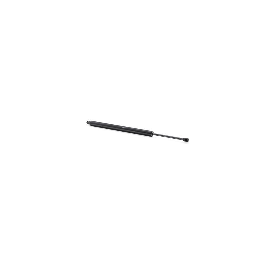 Tailgate Strut - RIDEX 219G0262