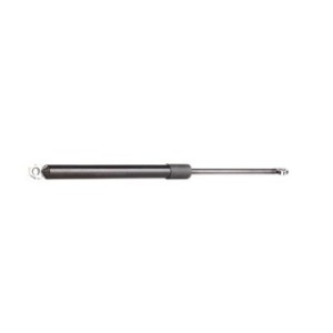 Tailgate Strut - RIDEX 219G0295