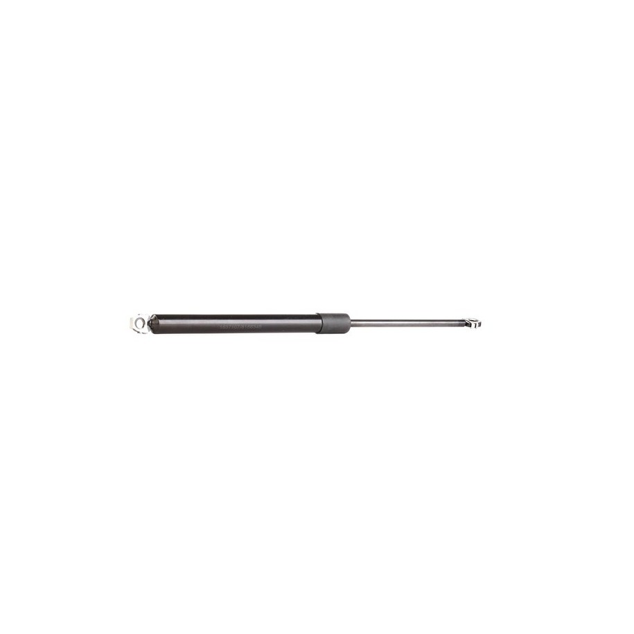 Tailgate Strut - RIDEX 219G0295