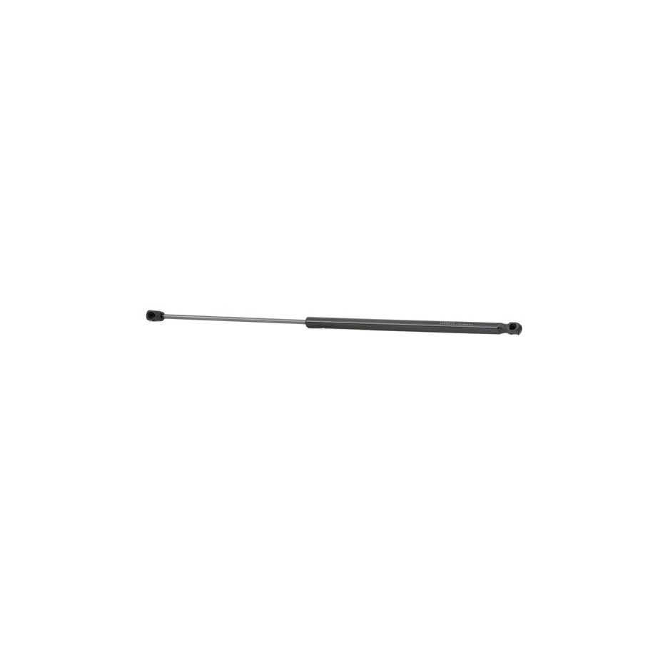 Tailgate Strut - RIDEX 219G0261