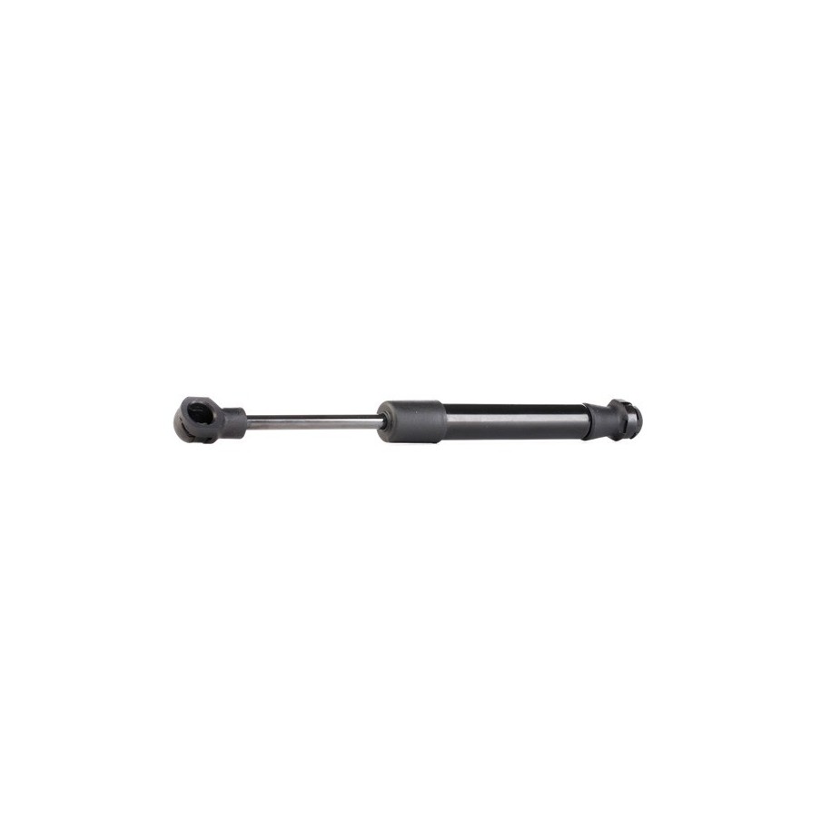 Tailgate Strut - RIDEX 219G0192