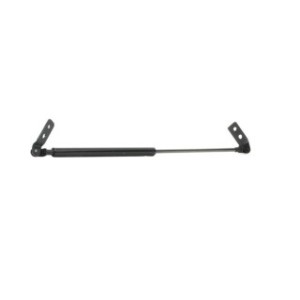 Tailgate Strut - RIDEX 219G0171