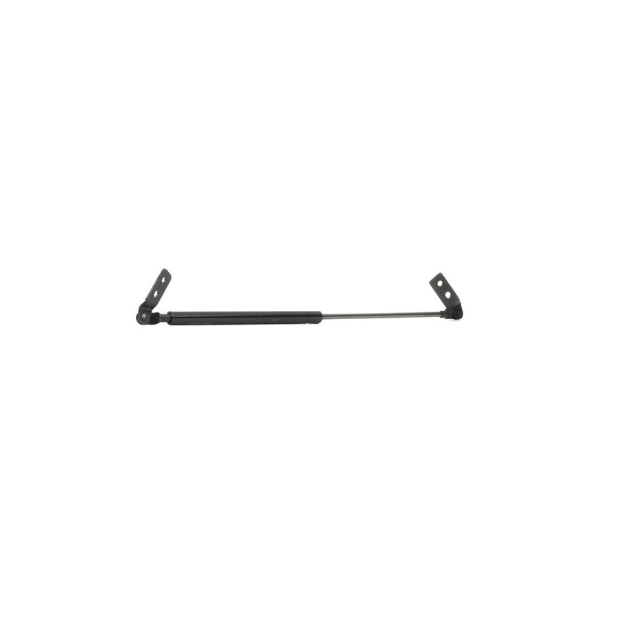 Tailgate Strut - RIDEX 219G0171