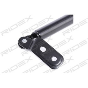 Tailgate Strut - RIDEX 219G0171