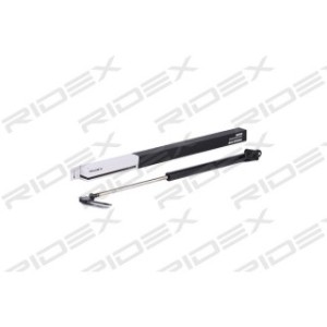 Tailgate Strut - RIDEX 219G0171