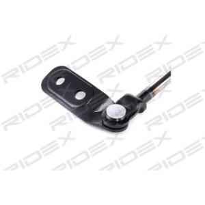 Tailgate Strut - RIDEX 219G0171