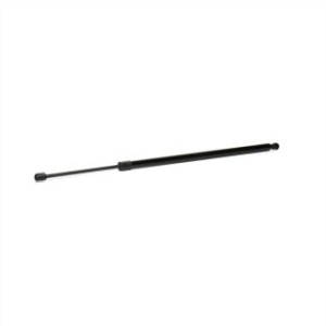 Tailgate Strut - RIDEX 219G0266