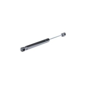 Tailgate Strut - RIDEX 219G0248
