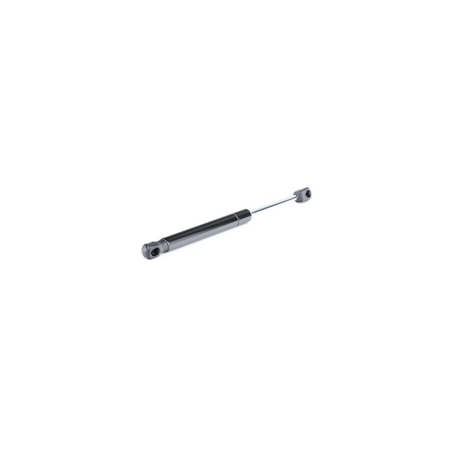 Tailgate Strut - RIDEX 219G0248