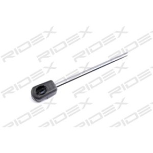 Tailgate Strut - RIDEX 219G0248