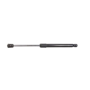 Tailgate Strut - RIDEX 219G0308