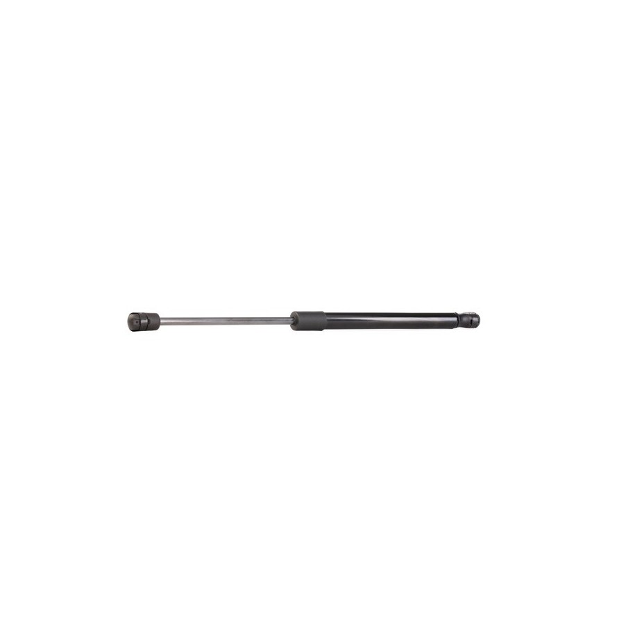 Tailgate Strut - RIDEX 219G0308