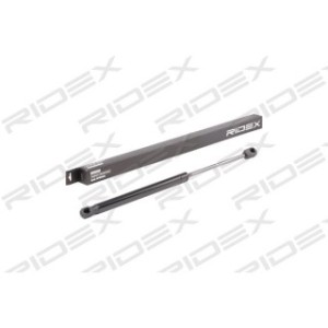 Tailgate Strut - RIDEX 219G0308