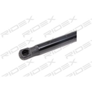 Tailgate Strut - RIDEX 219G0308