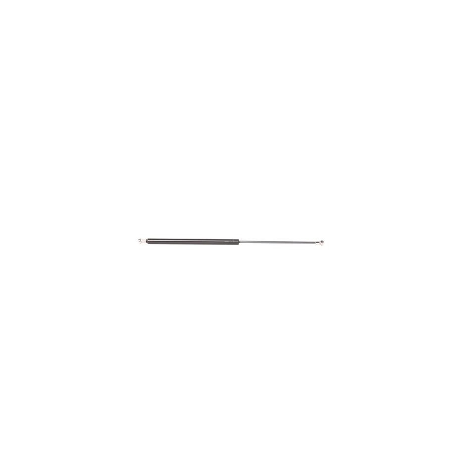 Tailgate Strut - RIDEX 219G0274