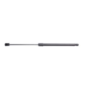 Tailgate Strut - RIDEX 219G0132