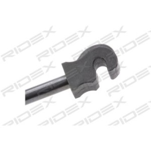 Tailgate Strut - RIDEX 219G0280
