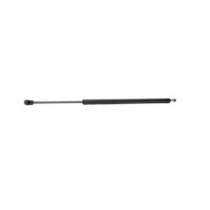 Tailgate Strut - RIDEX 219G0231