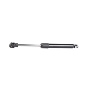 Tailgate Strut - RIDEX 219G0292
