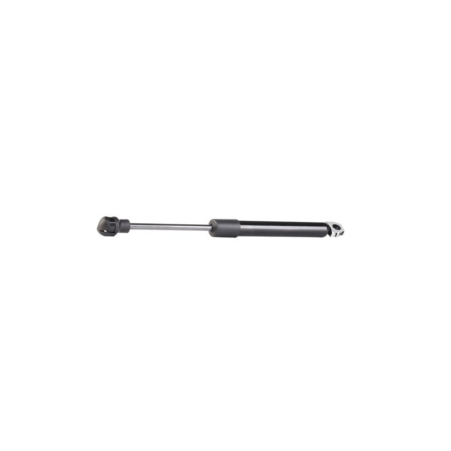 Tailgate Strut - RIDEX 219G0292