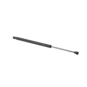 Tailgate Strut - RIDEX 219G0221