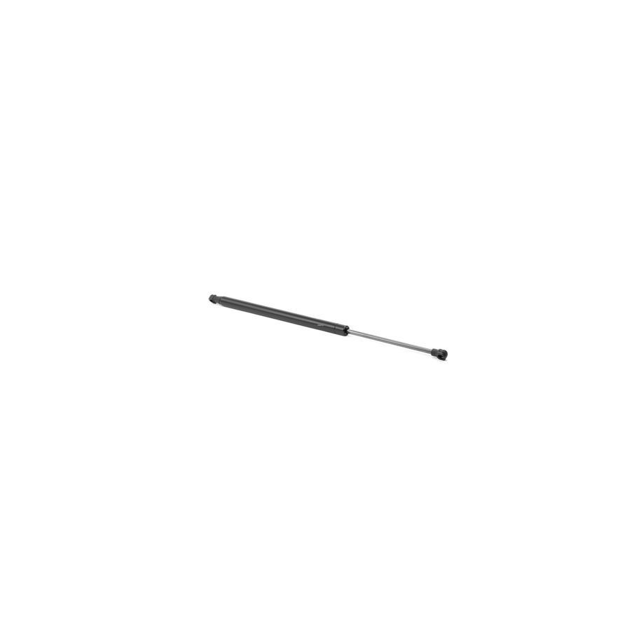 Tailgate Strut - RIDEX 219G0221