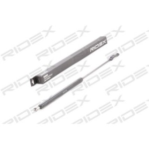 Tailgate Strut - RIDEX 219G0271