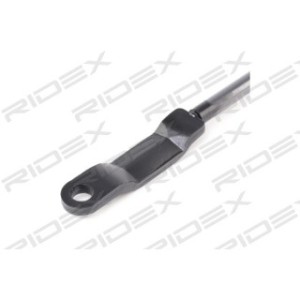 Tailgate Strut - RIDEX 219G0271