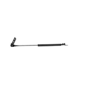 Tailgate Strut - RIDEX 219G0159