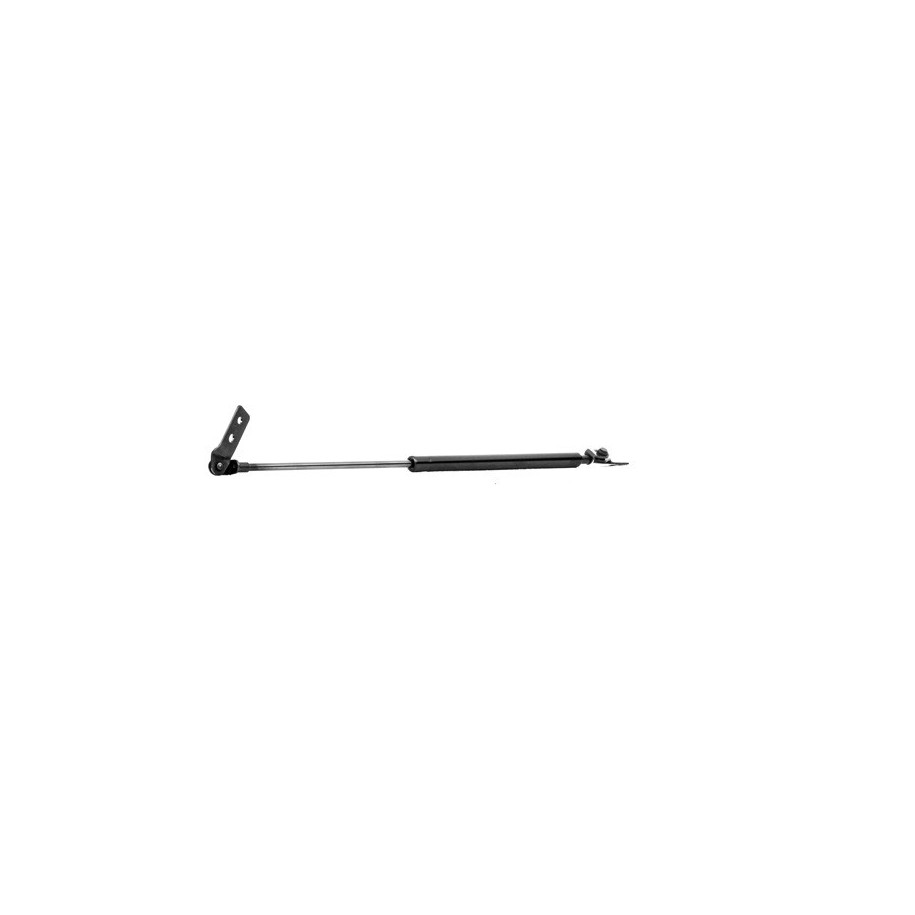 Tailgate Strut - RIDEX 219G0159