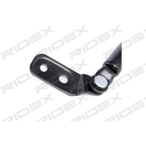 Tailgate Strut - RIDEX 219G0159