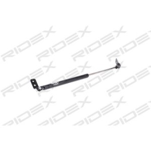 Tailgate Strut - RIDEX 219G0159