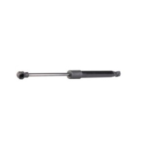 Tailgate Strut - RIDEX 219G0247