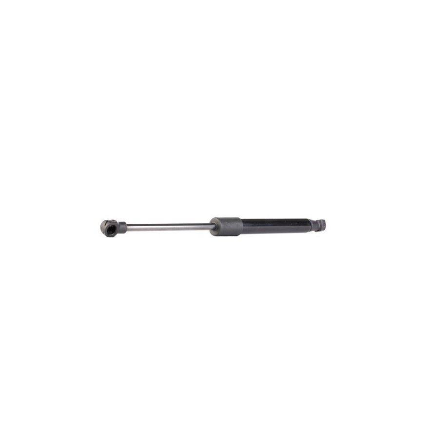 Tailgate Strut - RIDEX 219G0247