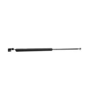 Tailgate Strut - RIDEX 219G0228
