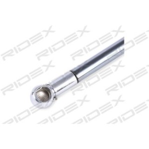 Tailgate Strut - RIDEX 219G0228