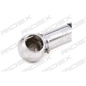 Tailgate Strut - RIDEX 219G0228