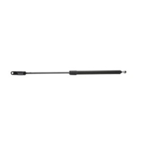 Tailgate Strut - RIDEX 219G0305