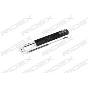 Tailgate Strut - RIDEX 219G0305