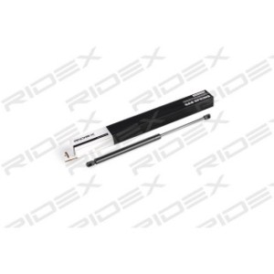Tailgate Strut - RIDEX 219G0189